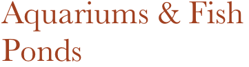 Aquariums & Fish
Ponds