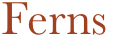 Ferns