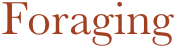 Foraging