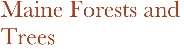 Maine Forests and
Trees