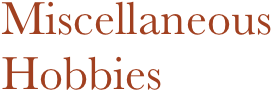 Miscellaneous Hobbies