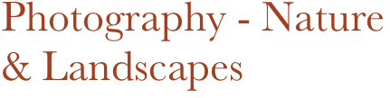 Photography - Nature & Landscapes