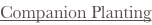 shapeimage_2_link_406